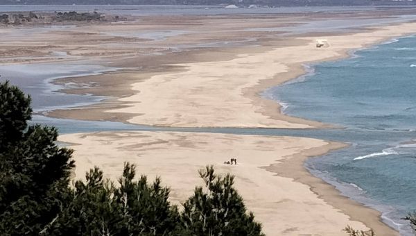 Ouverture du Grau de La Franqui