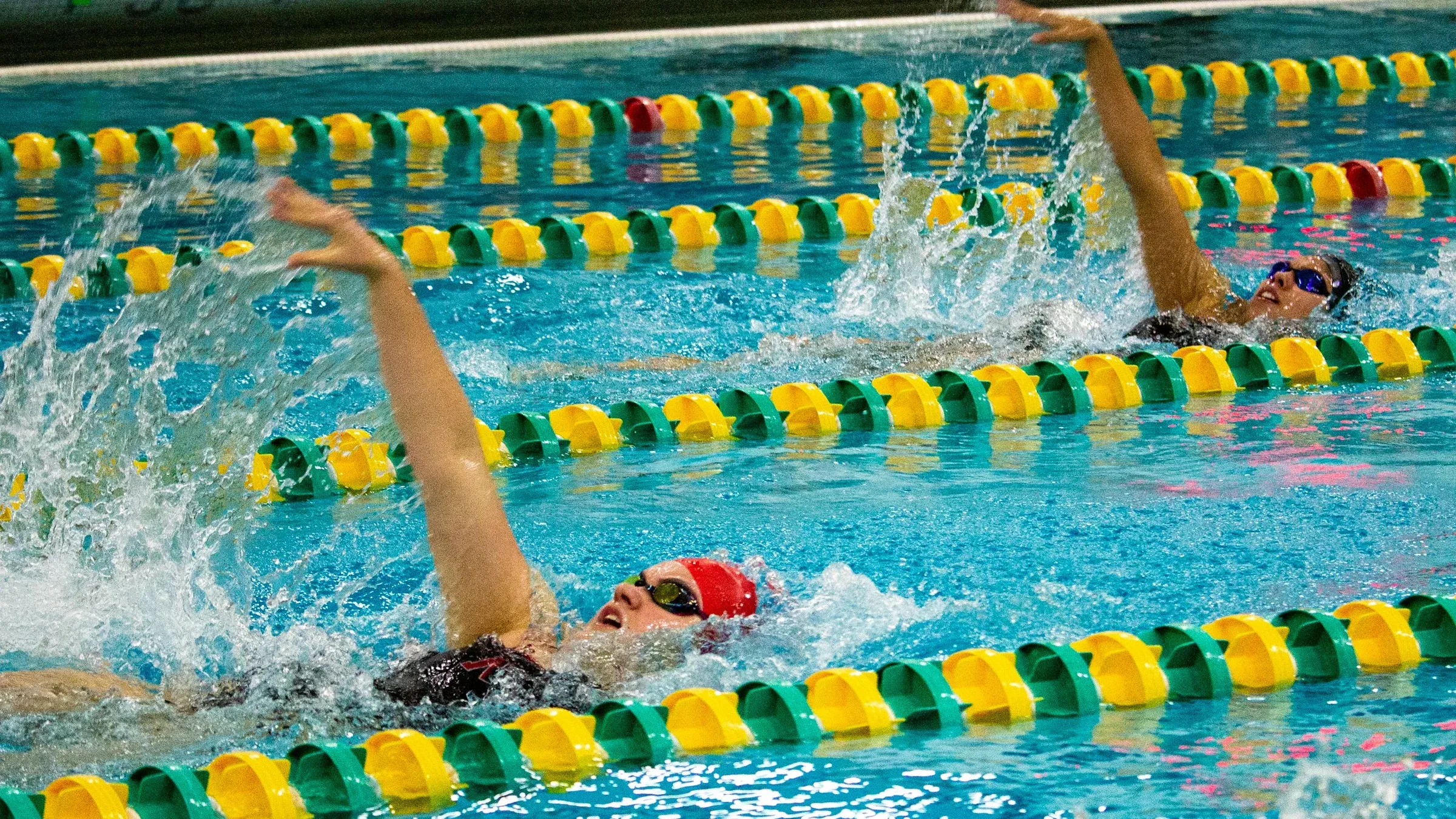 Piscine olympique, lignes d'eau bleues