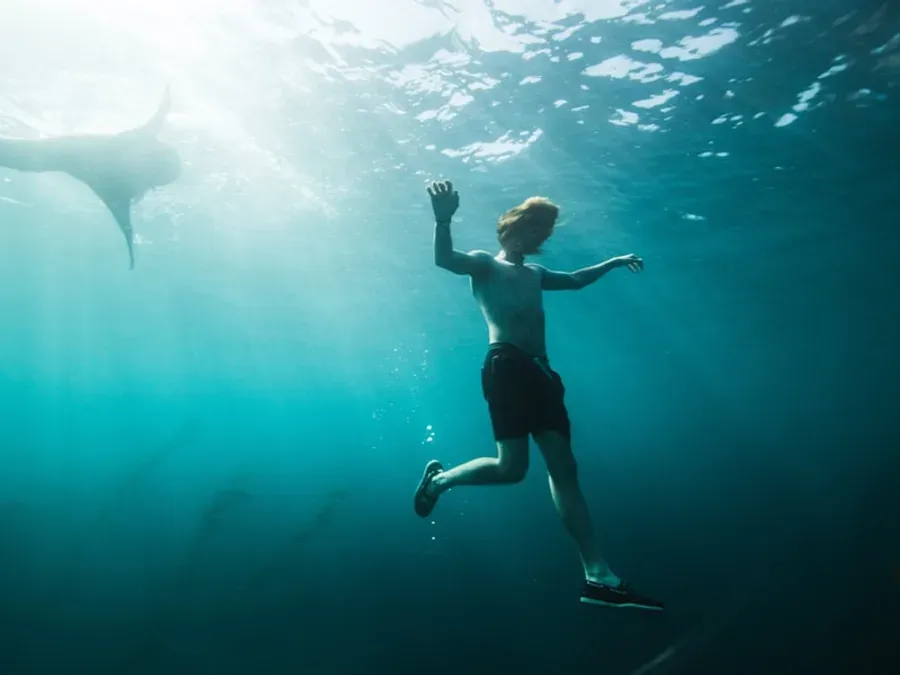 Nageur vu de sous la surface de l'eau en piscine